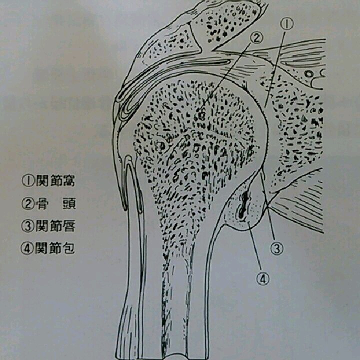 imgG52583416_1423108963112